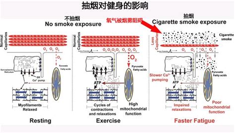 抽煙影響 斜坡角度